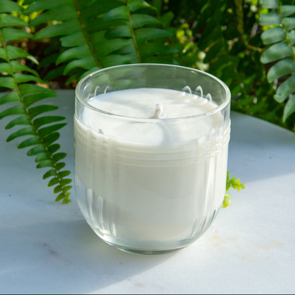 The Chicago fragrance free candle showing single wick, by Unscented Candle Company, with ferns