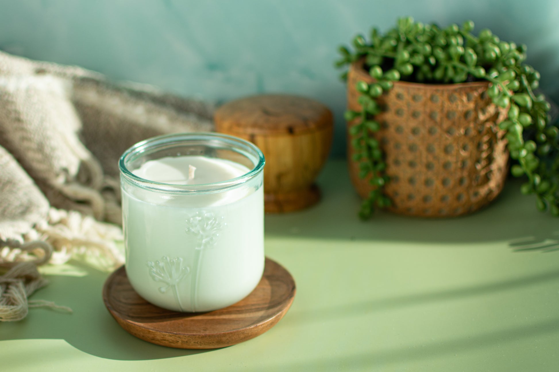 The Seville soy fragrance free candle by Unscented Candle Company in a ray of sunshine